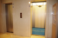 Medium_imgp8003 - コピー